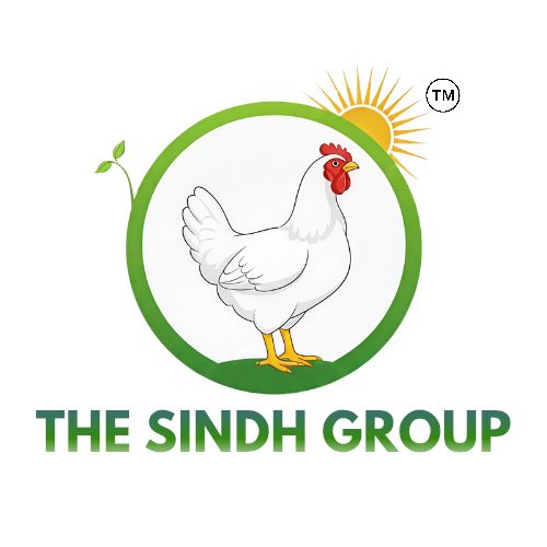 SINDG